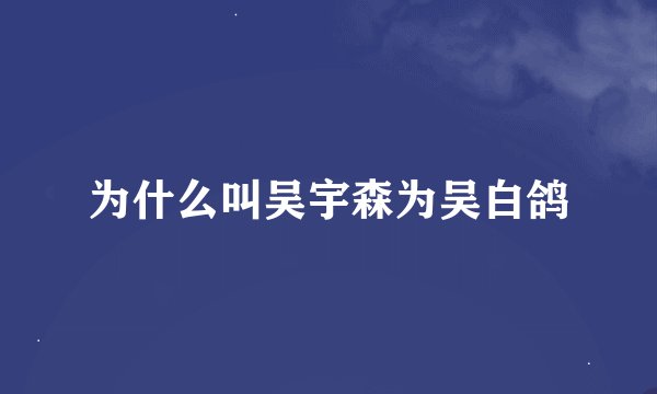 为什么叫吴宇森为吴白鸽