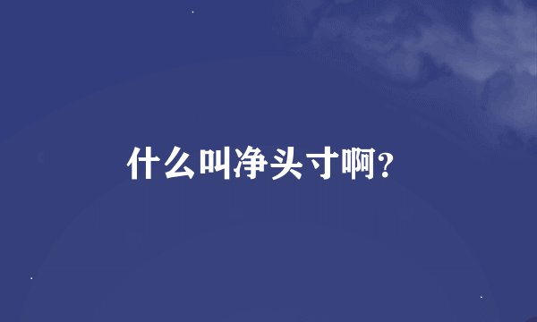 什么叫净头寸啊？