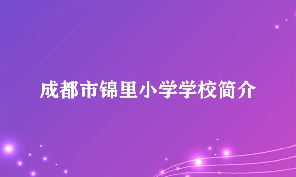 成都市锦里小学学校简介