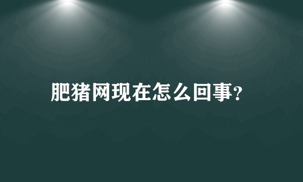肥猪网现在怎么回事？