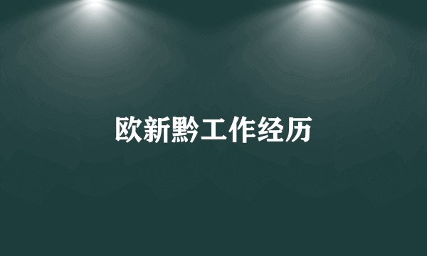 欧新黔工作经历