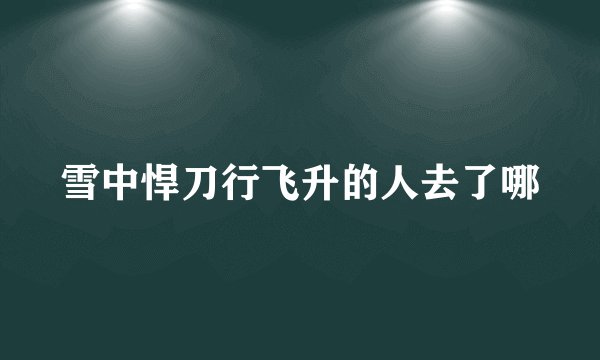 雪中悍刀行飞升的人去了哪