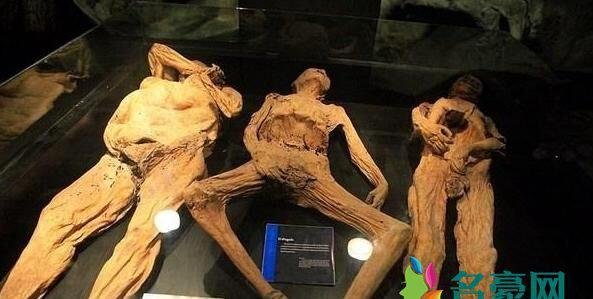 强撸灰飞烟灭是什么梗什么意思 强撸灰飞烟灭的出处在哪