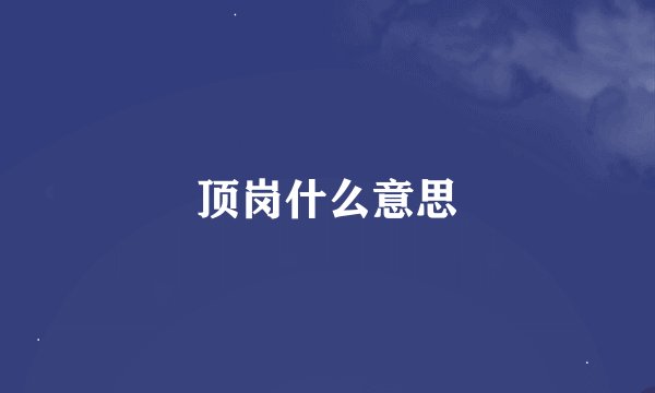 顶岗什么意思