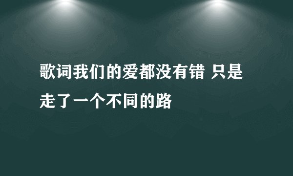 歌词我们的爱都没有错 只是走了一个不同的路