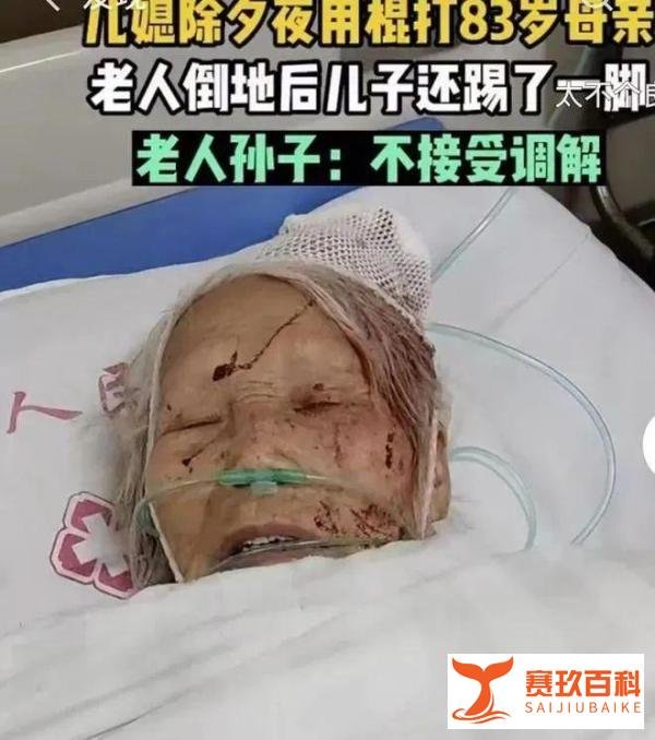 除夕夜湖南83老人遭遇儿媳棍打, 儿子上前补脚天理难容