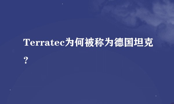 Terratec为何被称为德国坦克？