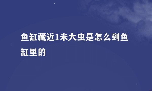 鱼缸藏近1米大虫是怎么到鱼缸里的