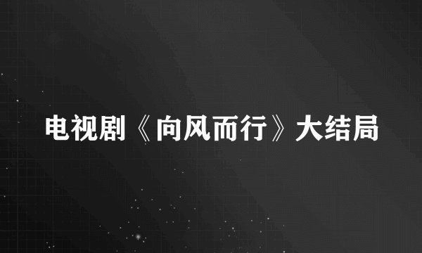 电视剧《向风而行》大结局