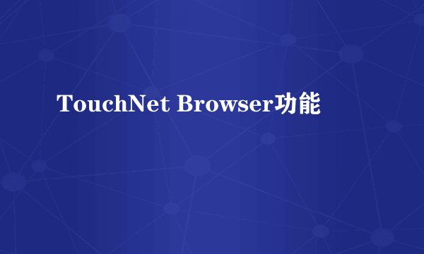 TouchNet Browser功能