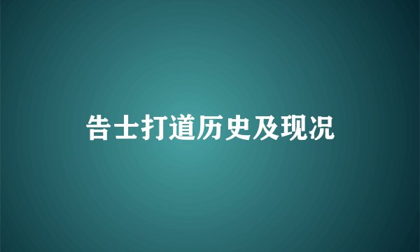 告士打道历史及现况