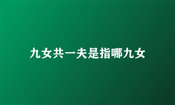 九女共一夫是指哪九女