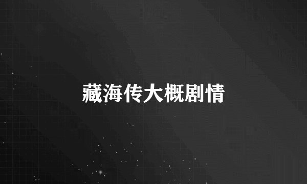 藏海传大概剧情