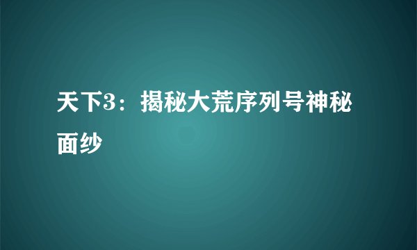 天下3：揭秘大荒序列号神秘面纱