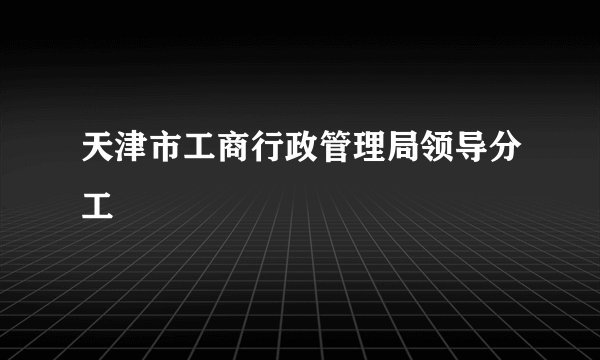 天津市工商行政管理局领导分工