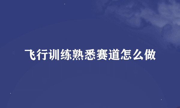 飞行训练熟悉赛道怎么做