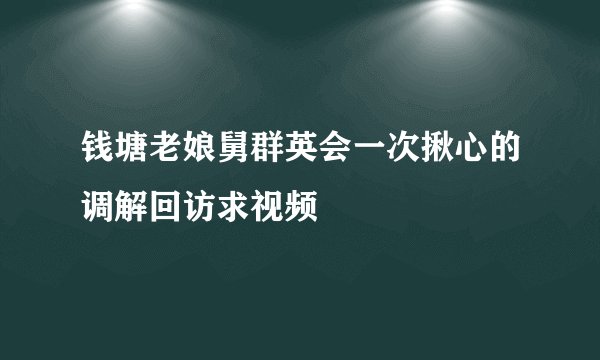 钱塘老娘舅群英会一次揪心的调解回访求视频