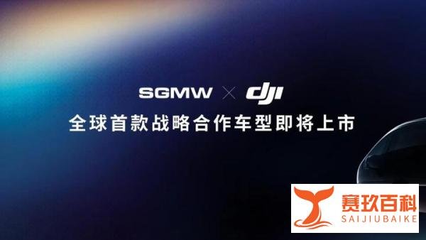 五菱官宣：搭载大疆智驾系统的首款车型即将上市