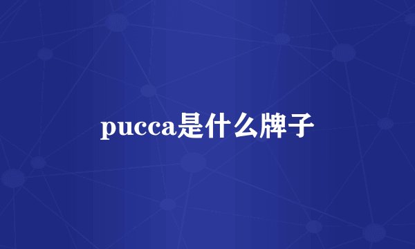 pucca是什么牌子