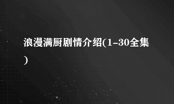 浪漫满厨剧情介绍(1-30全集)