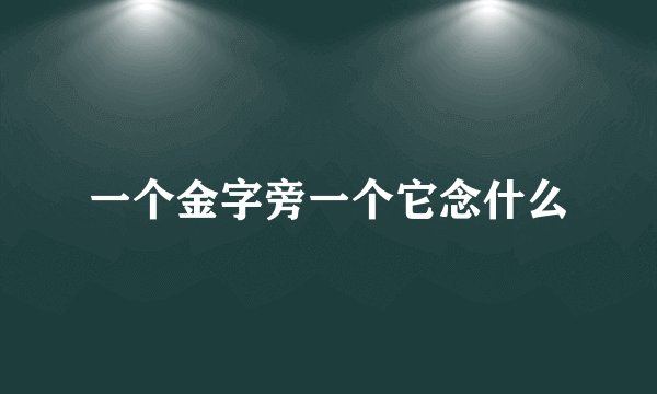 一个金字旁一个它念什么