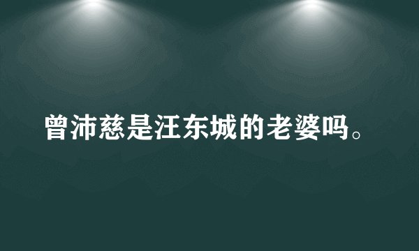 曾沛慈是汪东城的老婆吗。