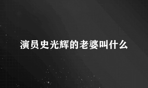 演员史光辉的老婆叫什么