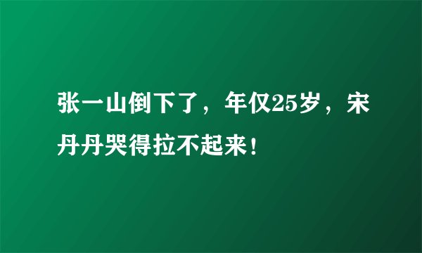 张一山倒下了，年仅25岁，宋丹丹哭得拉不起来！