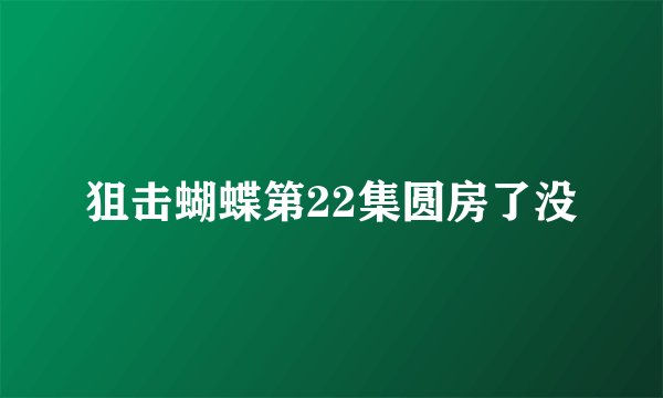 狙击蝴蝶第22集圆房了没