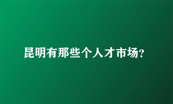 昆明有那些个人才市场？
