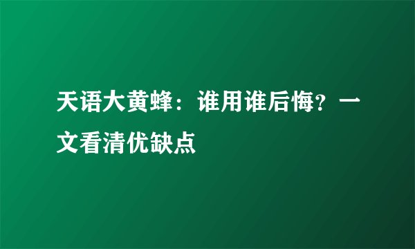 天语大黄蜂：谁用谁后悔？一文看清优缺点