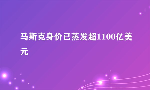 马斯克身价已蒸发超1100亿美元