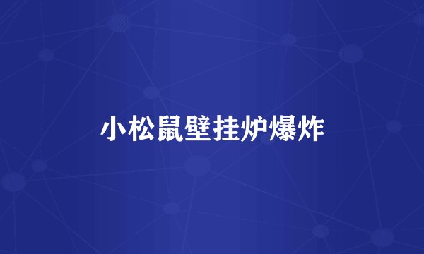 小松鼠壁挂炉爆炸