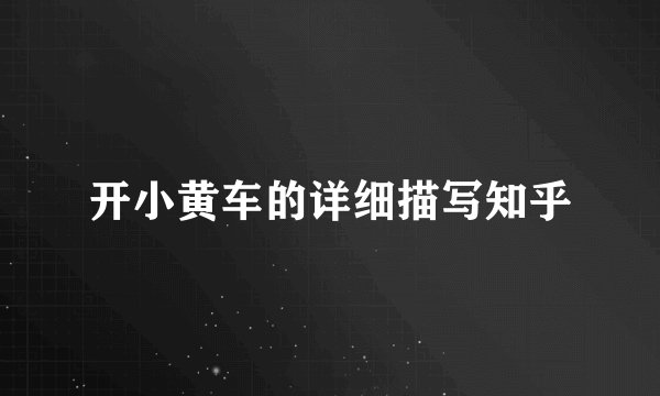 开小黄车的详细描写知乎