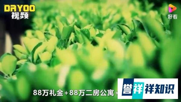 官媒评祖孙照被造谣成老夫少妻 这是咋情况？
