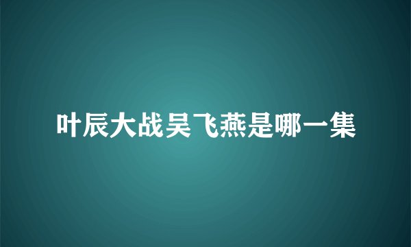 叶辰大战吴飞燕是哪一集