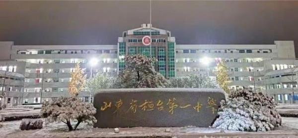 桓台一中党委副书记高大权被停职