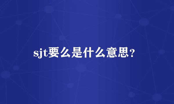 sjt要么是什么意思？