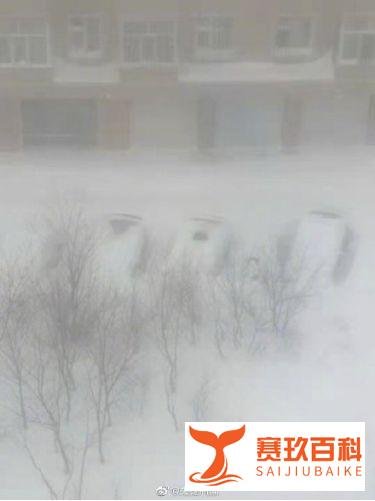 东北雪大到模糊，需要注意保暖和防护！