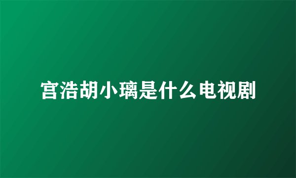 宫浩胡小璃是什么电视剧