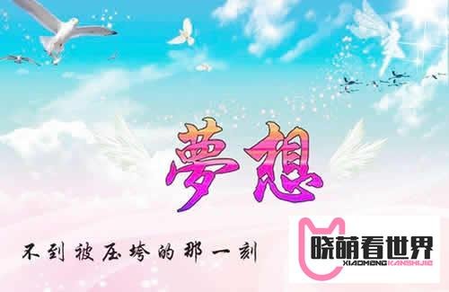 虎格网：虚拟资源创业项目是怎么赚钱的