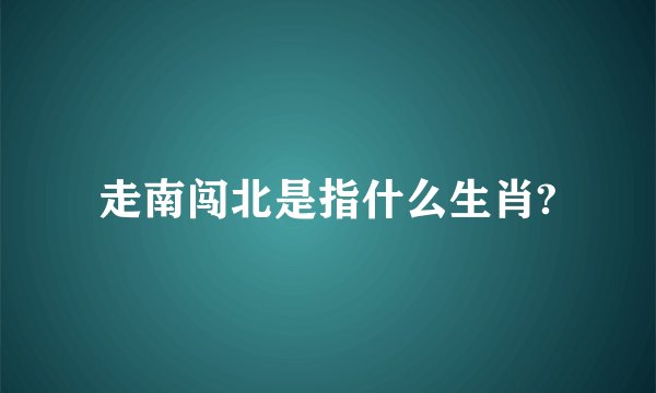 走南闯北是指什么生肖?