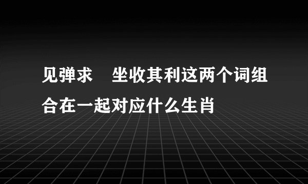 见弹求鸮坐收其利这两个词组合在一起对应什么生肖