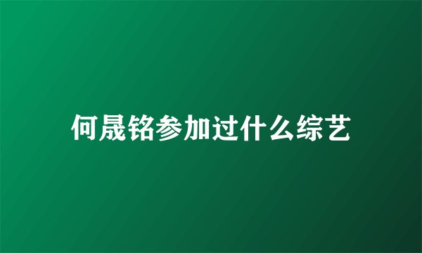 何晟铭参加过什么综艺