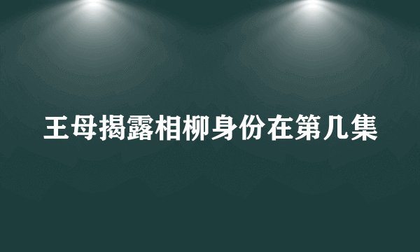 王母揭露相柳身份在第几集