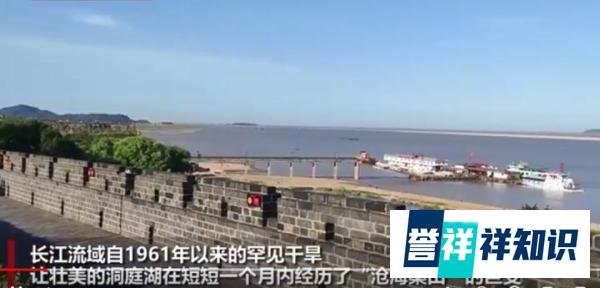 今年高温多严重？洞庭湖旱灾致大量鱼类被困死亡 一个月内经历沧海桑田
