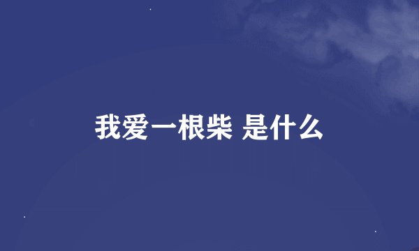 我爱一根柴 是什么