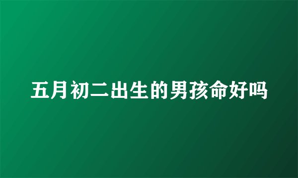 五月初二出生的男孩命好吗