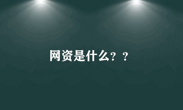 网资是什么？？