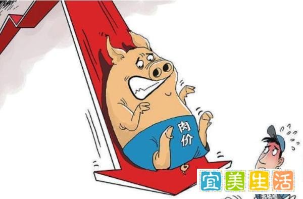 突变！3月24日猪价“塌方”下跌！21地集体“飘绿”